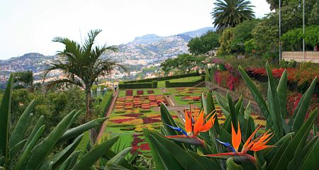  Jardim Botânico (Funchal, Madeira)